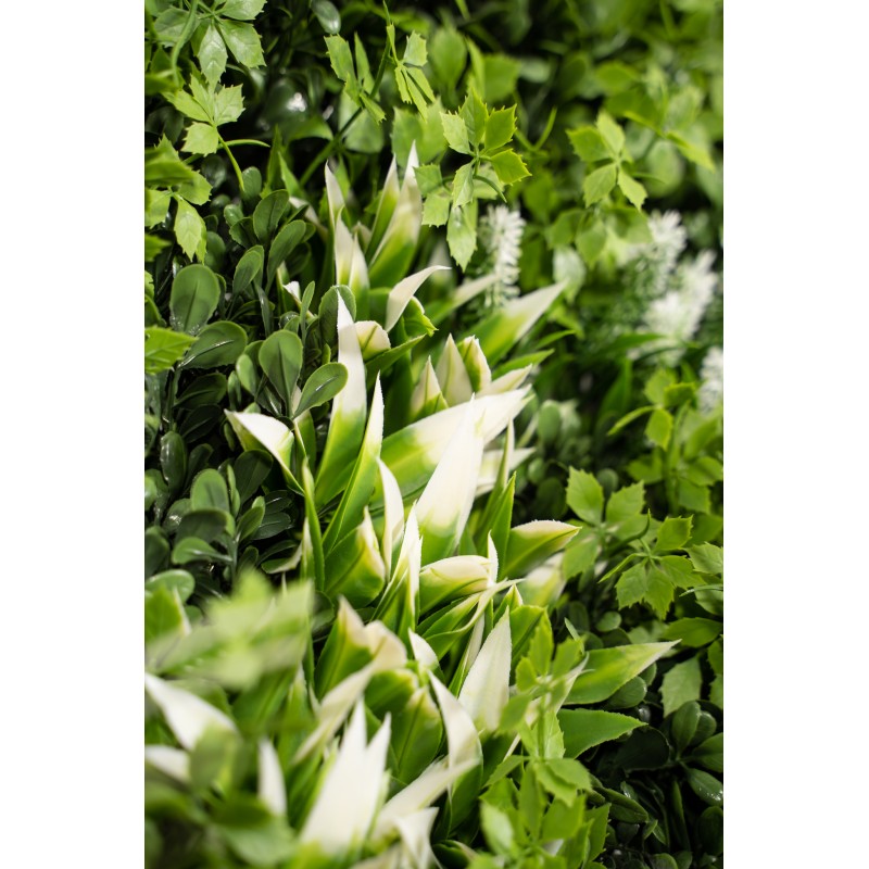 Siepe artificiale100x100 cm  Ecuador Xone