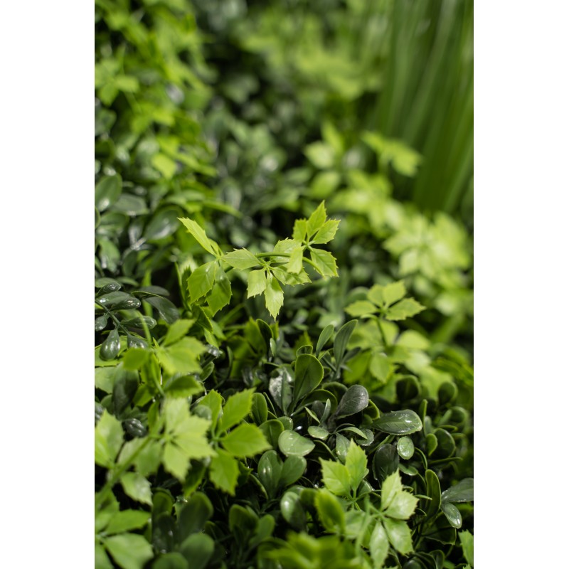 Siepe artificiale100x100 cm  Ecuador Xone