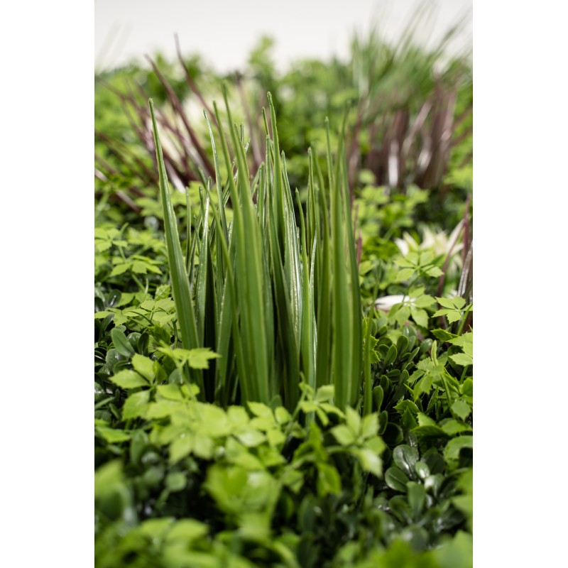 Siepe artificiale100x100 cm  Ecuador Xone