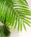 pianta-palma-150cm (1)