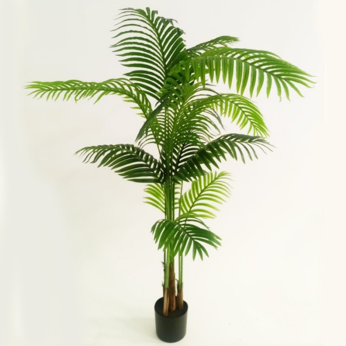pianta-palma-150cm