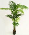 pianta-palma-150cm